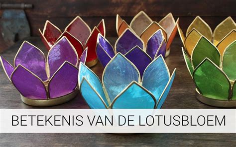 De Lotusbloem van Rust: Een Visioeneer in Vergulde Klei!